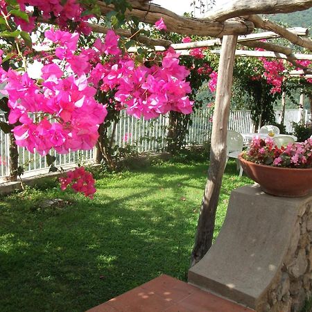 Bouganville Home В'єтрі Екстер'єр фото
